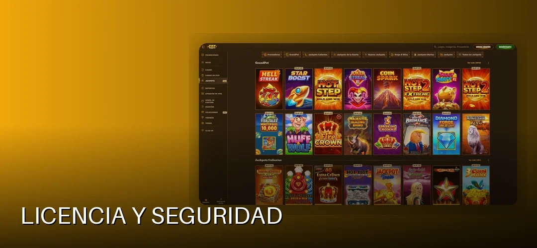 Licencia y seguridad