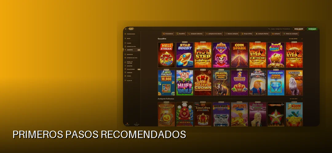 Primeros pasos recomendados